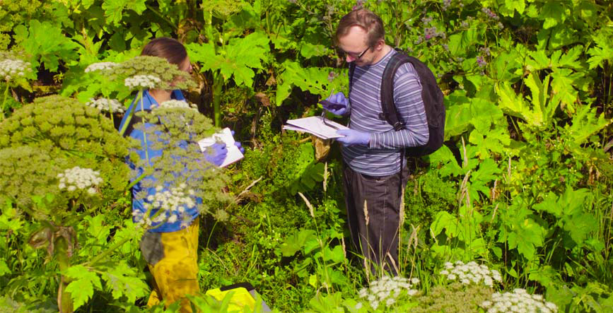 etudes-environnementales-paysageres-projet-eolien-genevrieres